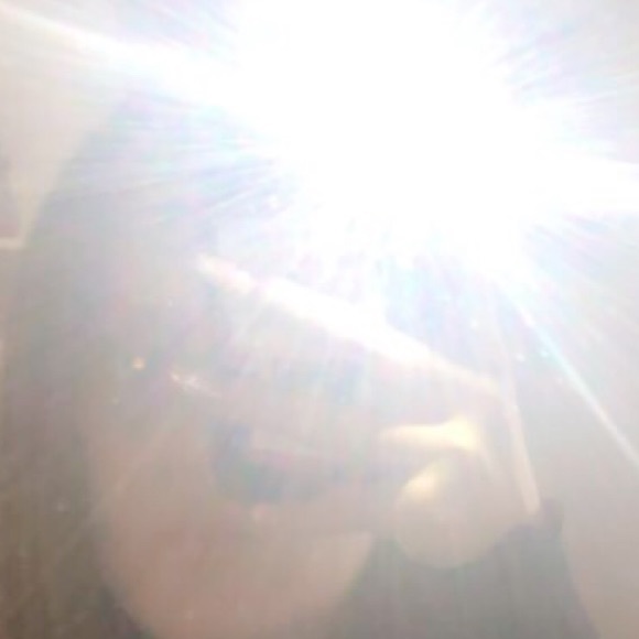 Meet your Posher, Emma - Picture 1 of 1